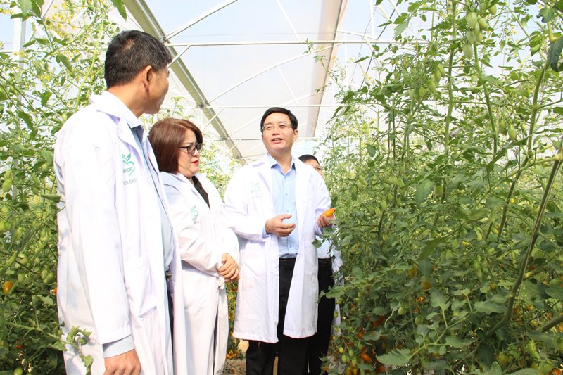 Bộ Kế hoạch và Đầu tư lấy ý kiến các ngành về cơ chế, chính sách đặc thù phát triển thành phố Buôn Ma Thuột 
